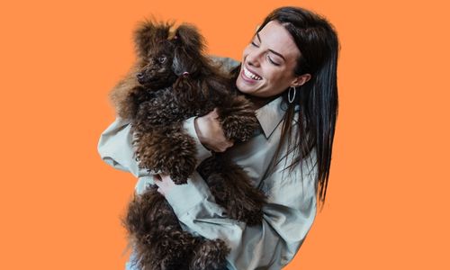 Pet Shop Sertifikası