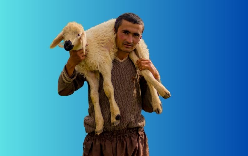 Küçükbaş Hayvancılık Sertifikası